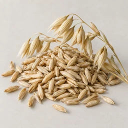 Colloidal oatmeal source ingredient