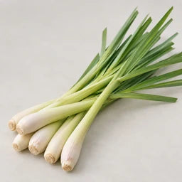 Lemongrass essential oil source ingredient