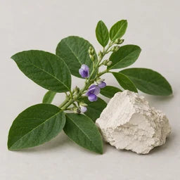 Maya blue source ingredient
